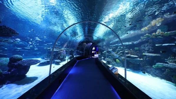 Hamad Port Visitors Centre Aquarium|Qatar|QLEvents - Mwani.com.qa